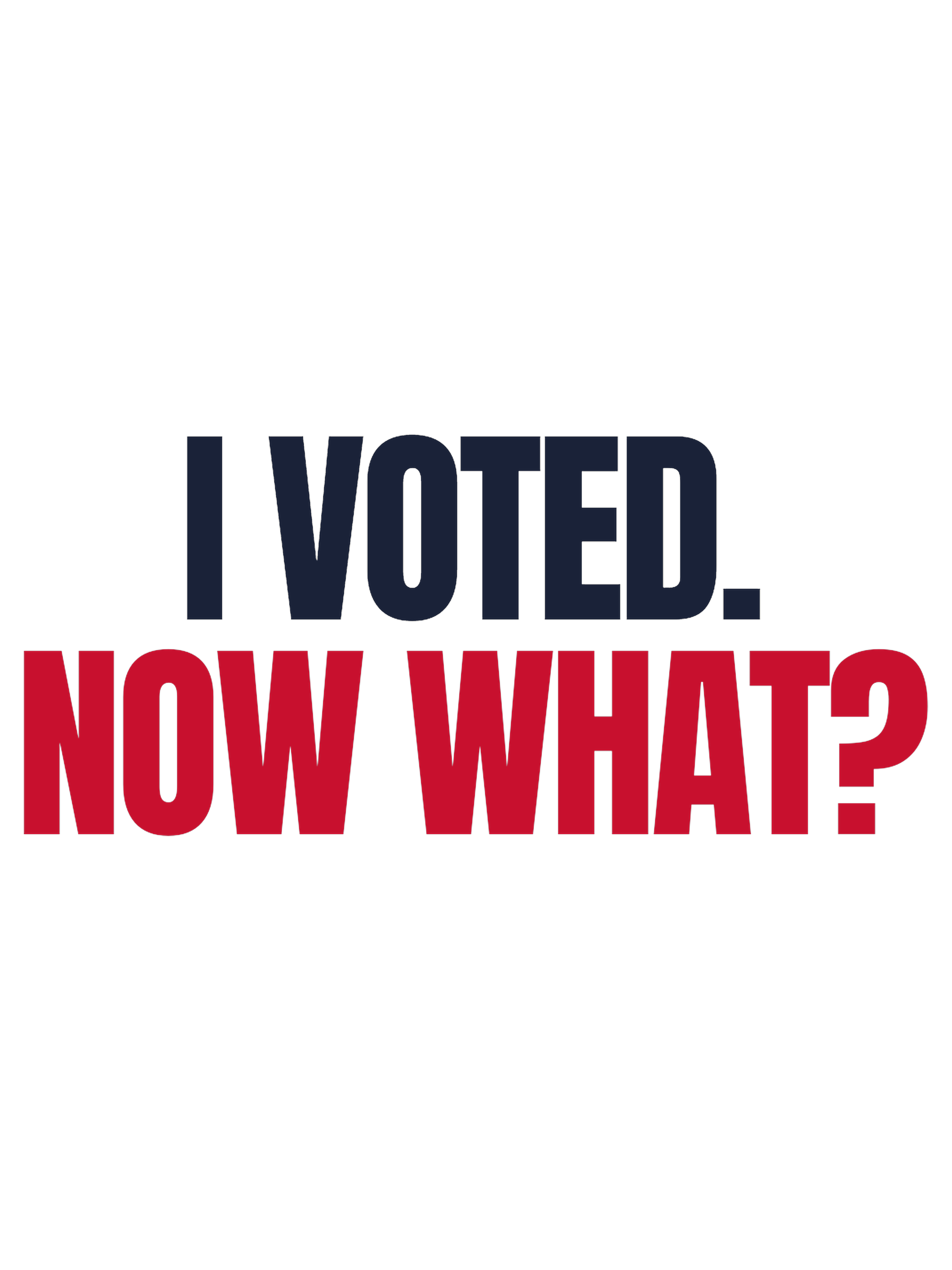 I Voted. Now What? — artwork