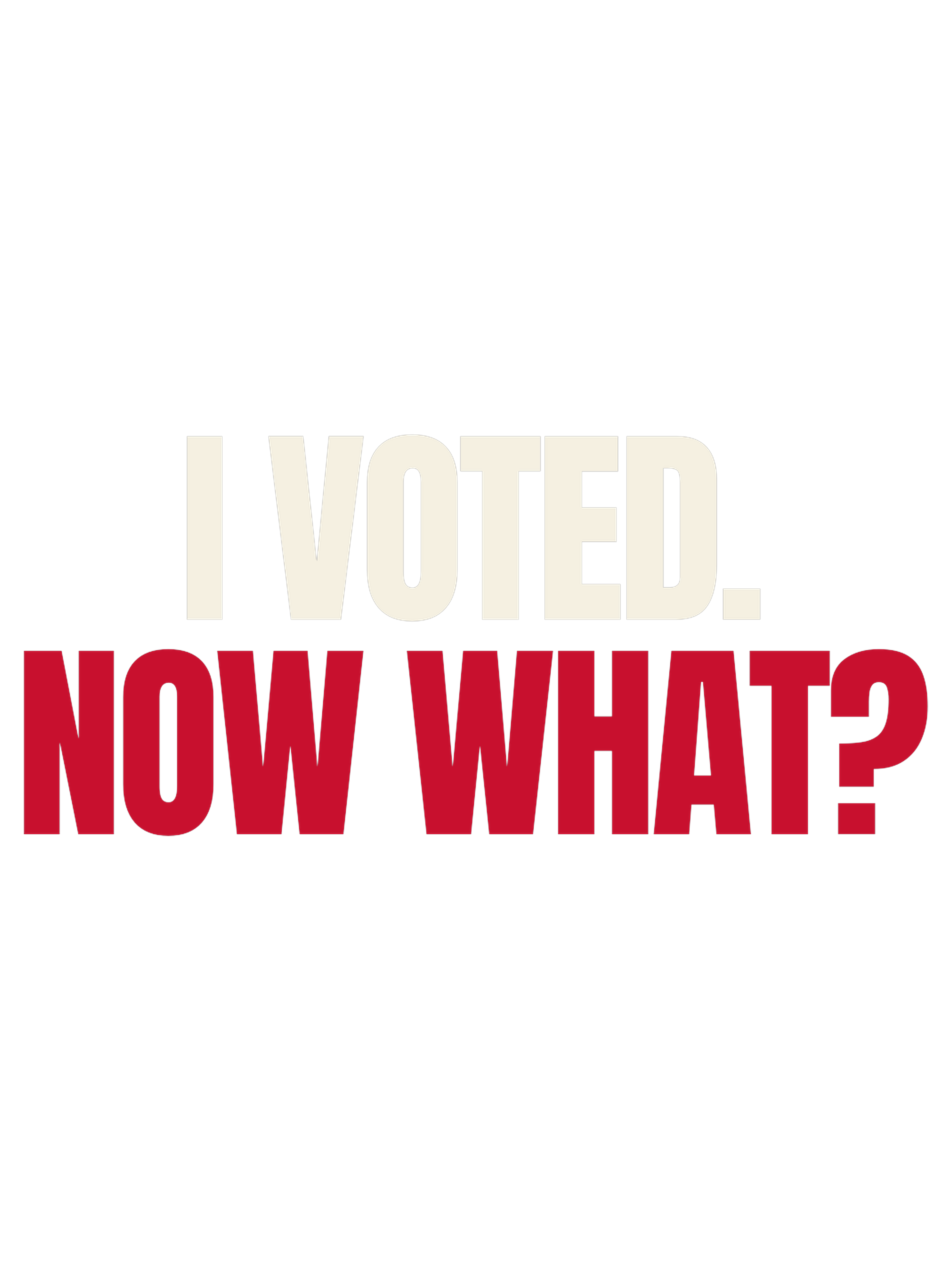 I Voted. Now What? — artwork
