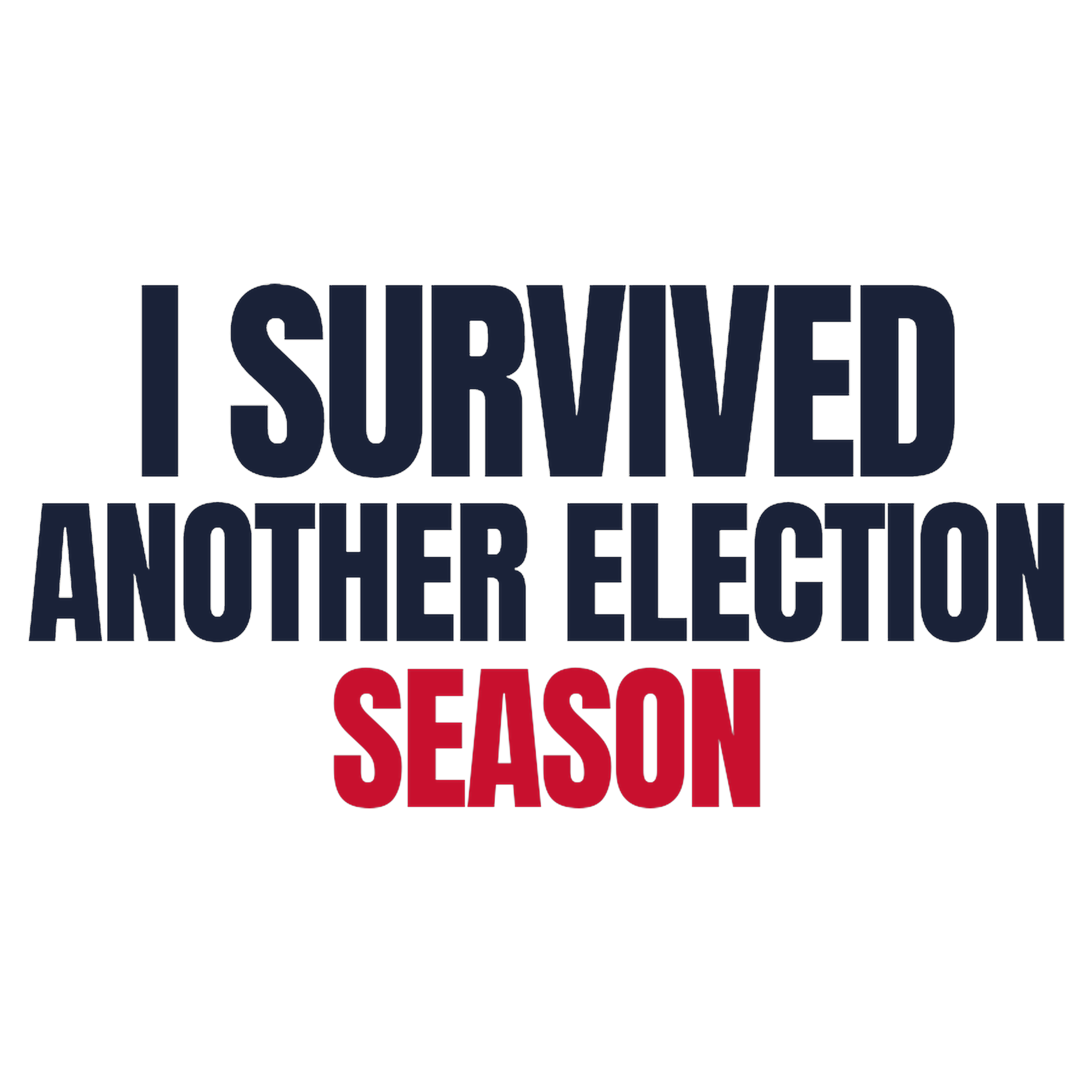 I Survived Another Election Season — artwork